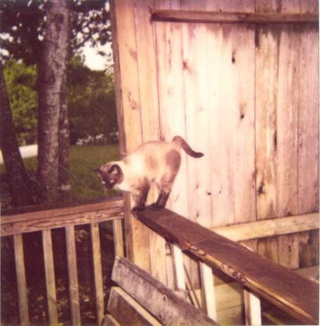 click for larger size