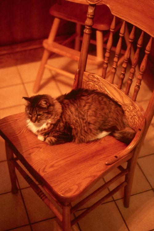 click for larger size