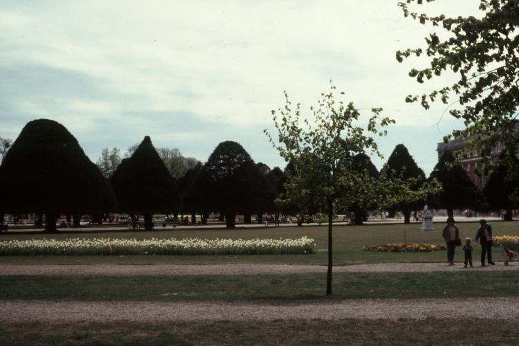 click for larger size