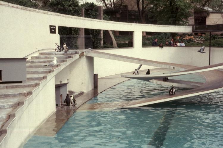 click for larger size