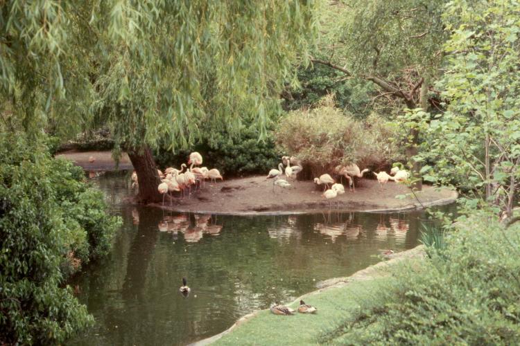 click for larger size