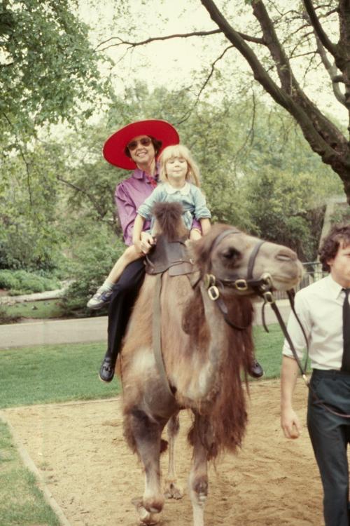 click for larger size