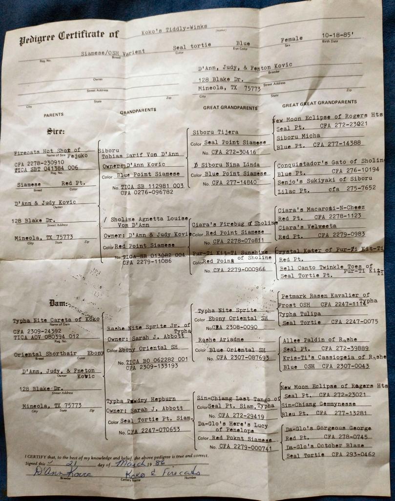 click for larger size