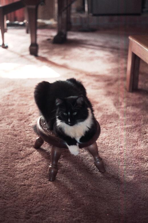 click for larger size