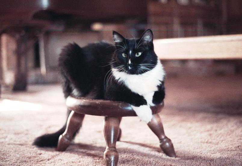 click for larger size