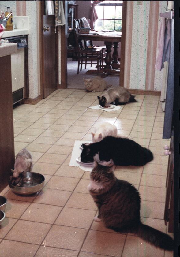 click for larger size