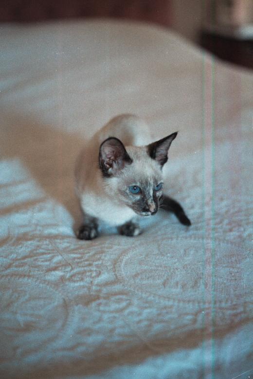 click for larger size