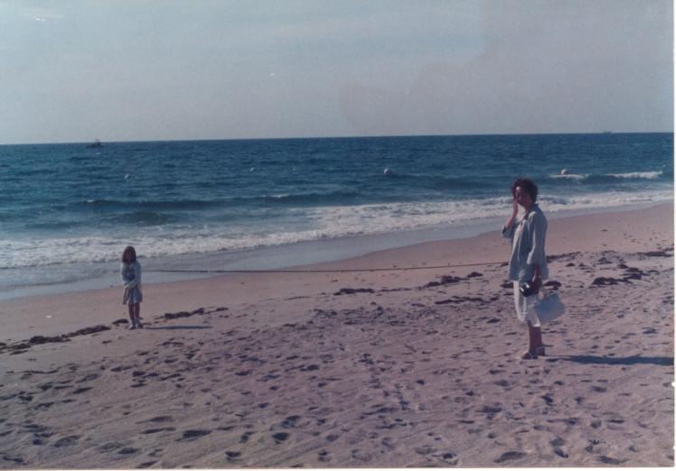 click for larger size