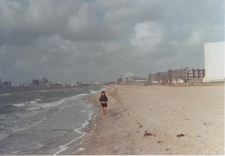 click for larger size