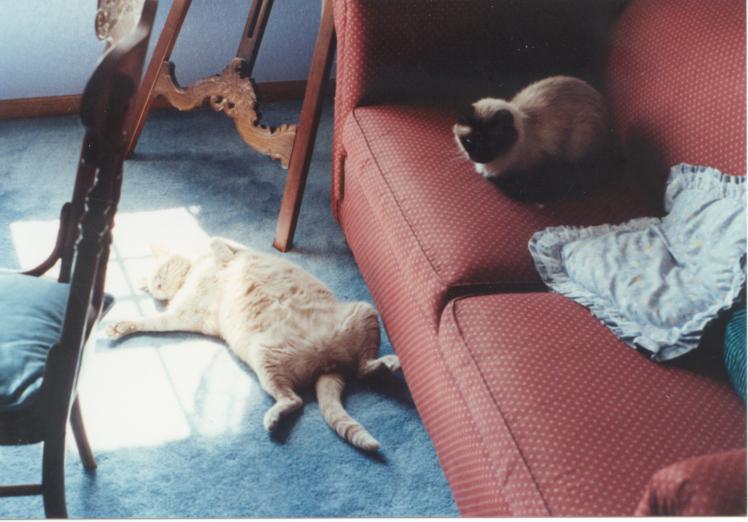 click for larger size