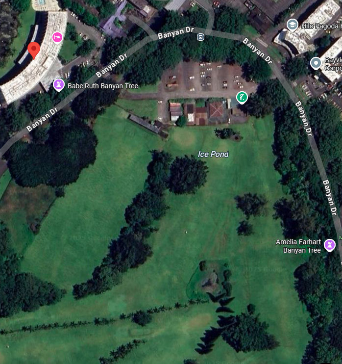 click for larger size