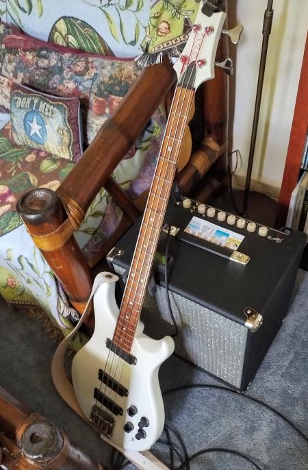 click for larger size