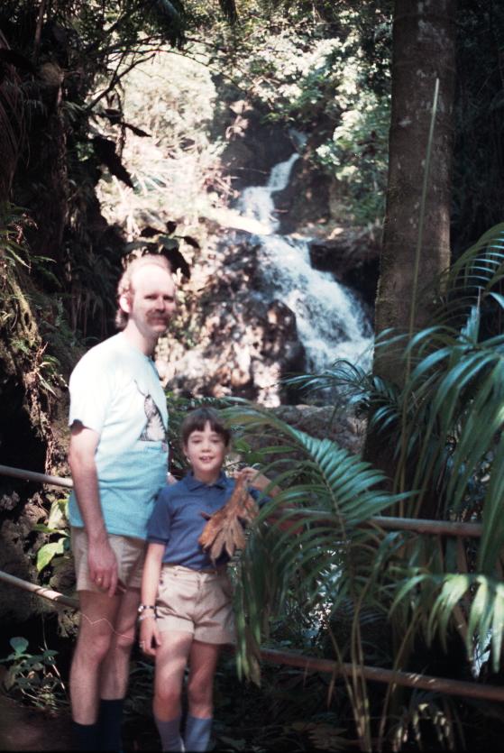 click for larger size