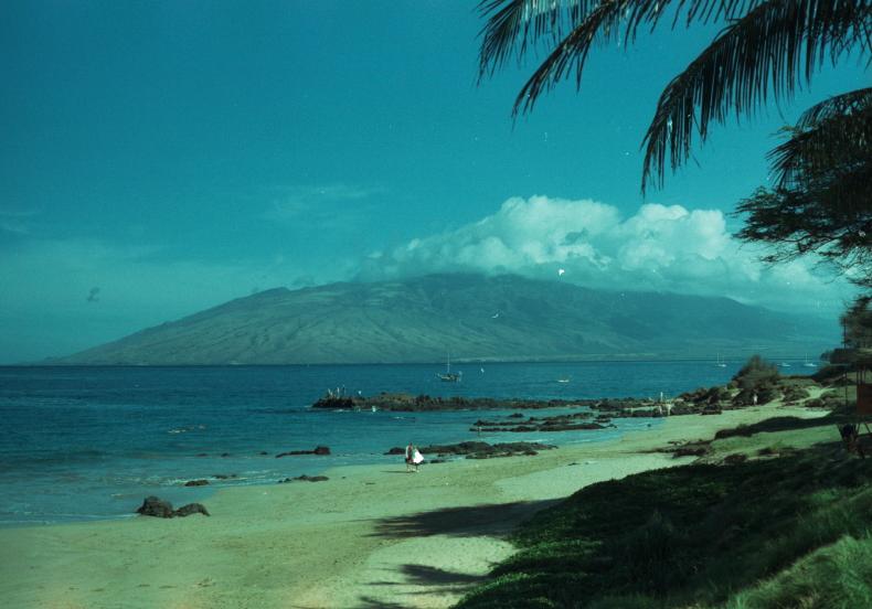 click for larger size