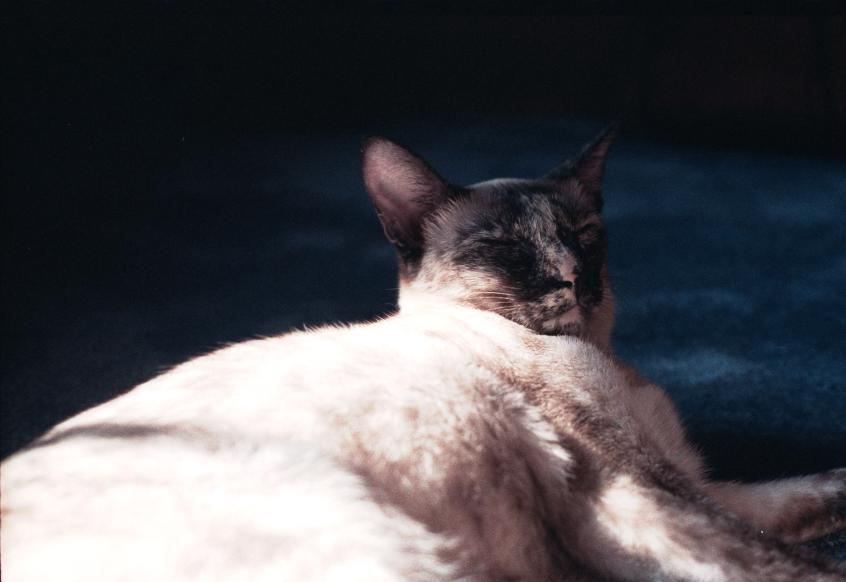 click for larger size