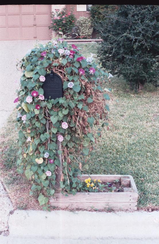 click for larger size