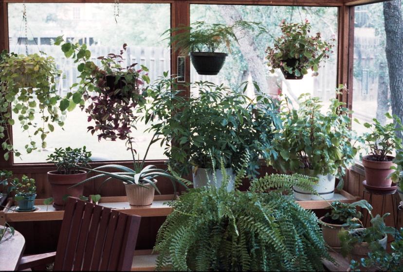 click for larger size