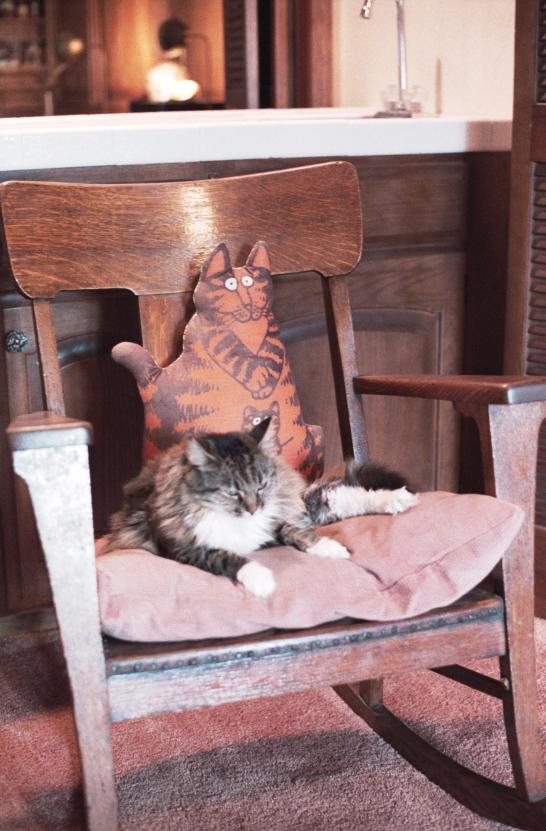 click for larger size