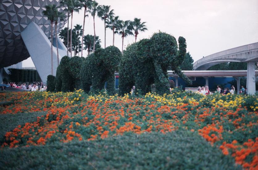 click for larger size