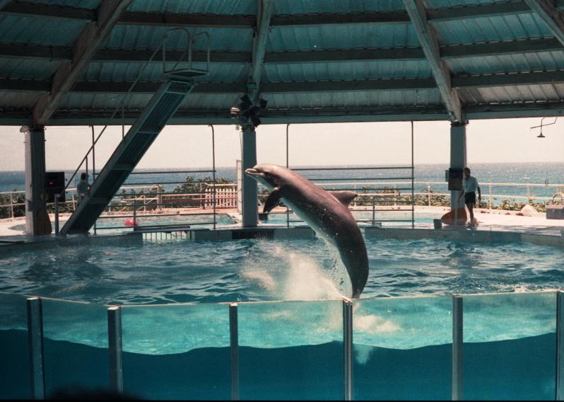 click for larger size