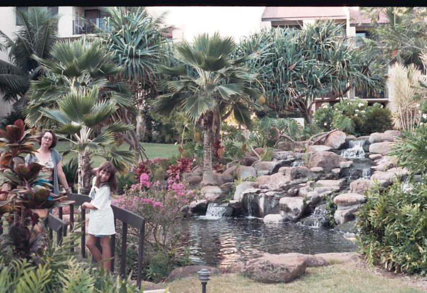 click for larger size