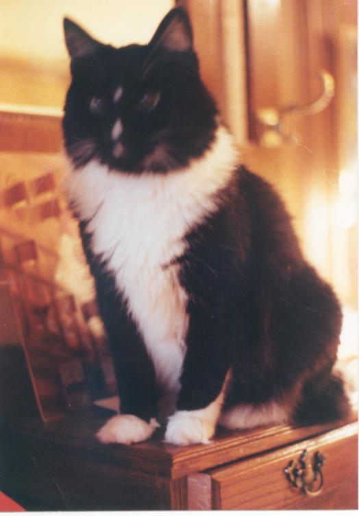 click for larger size