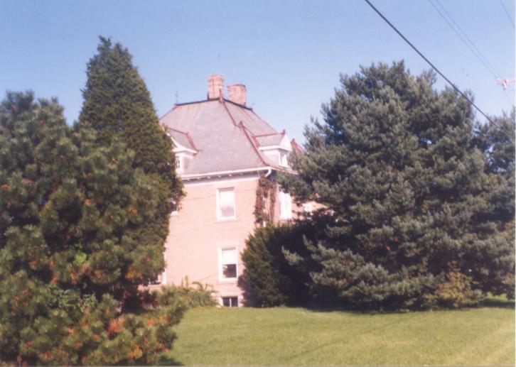 click for larger size