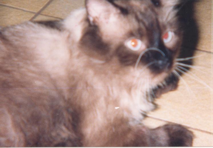 click for larger size