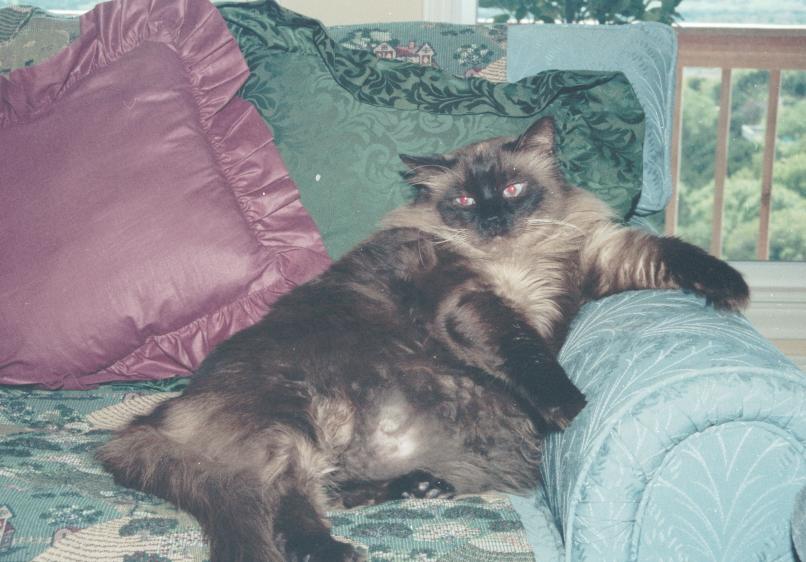 click for larger size