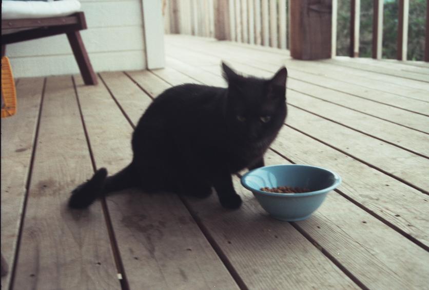 click for larger size