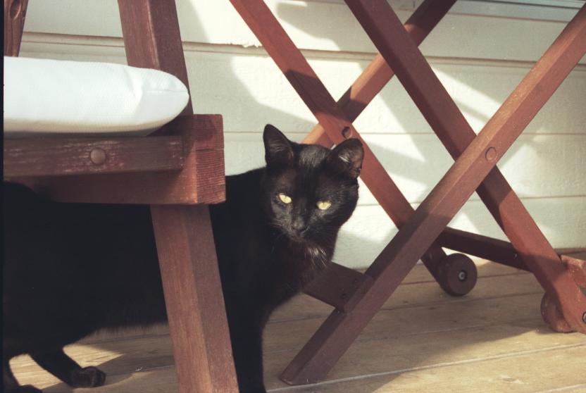 click for larger size