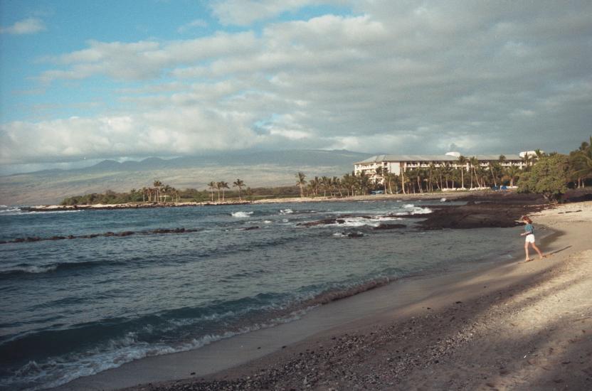 click for larger size