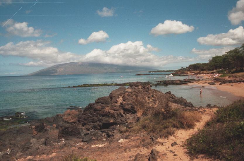 click for larger size