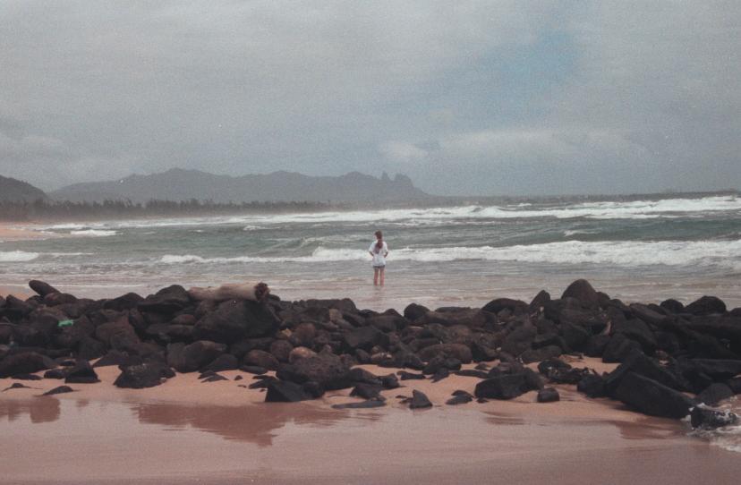 click for larger size