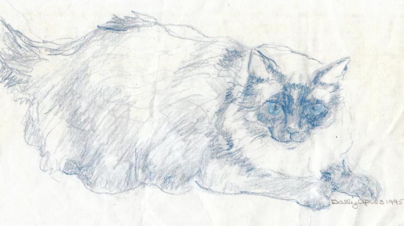 click for larger size