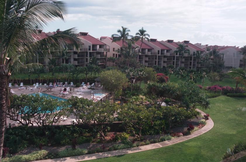 click for larger size