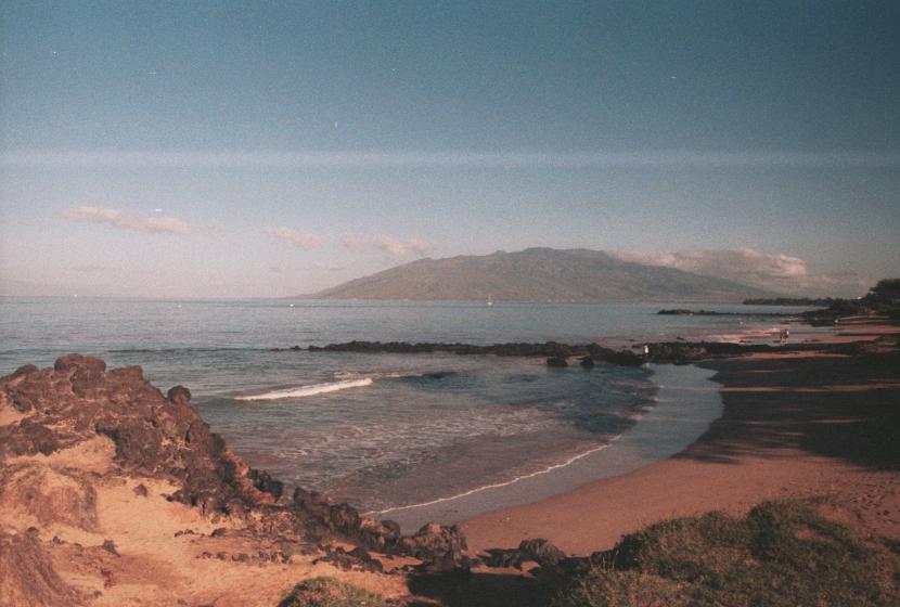 click for larger size