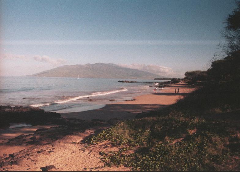 click for larger size