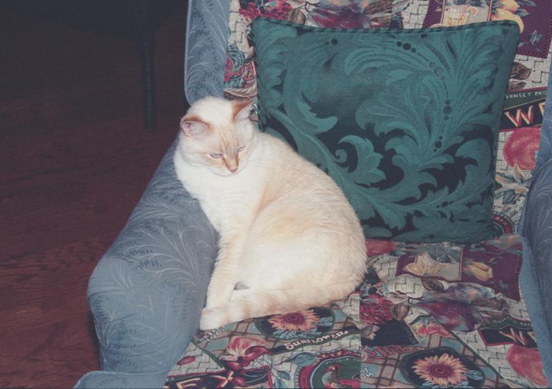 click for larger size