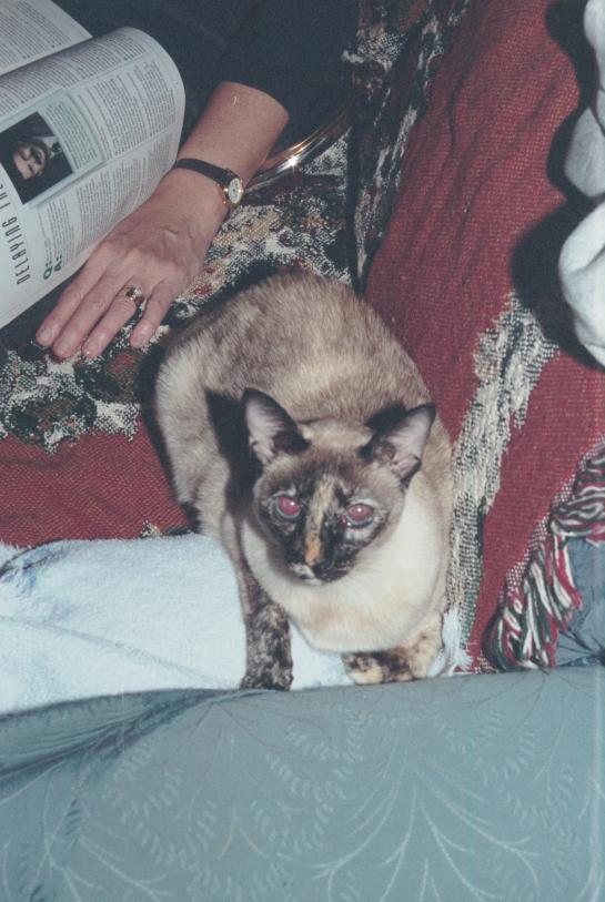 click for larger size