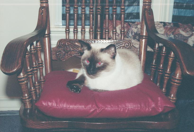 click for larger size