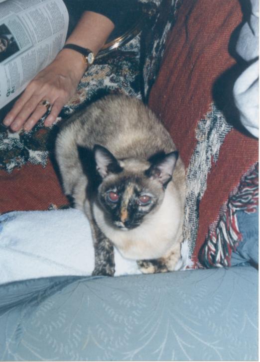 click for larger size