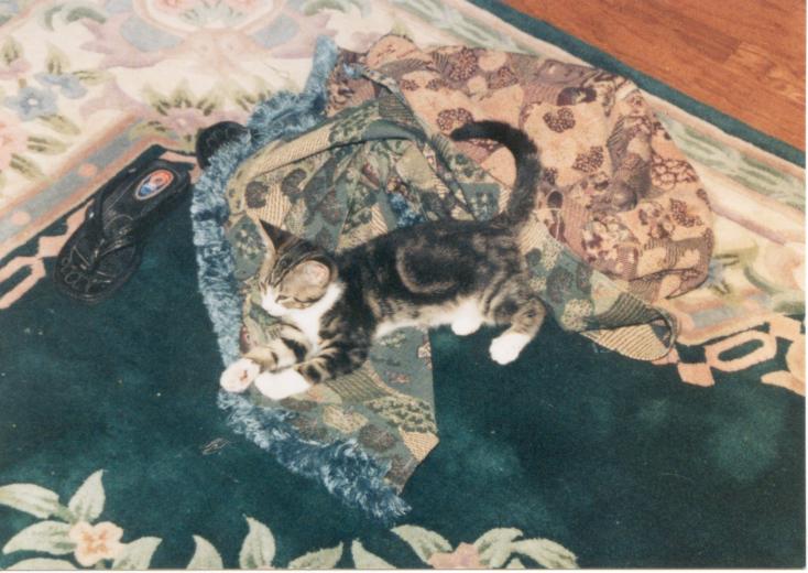 click for larger size