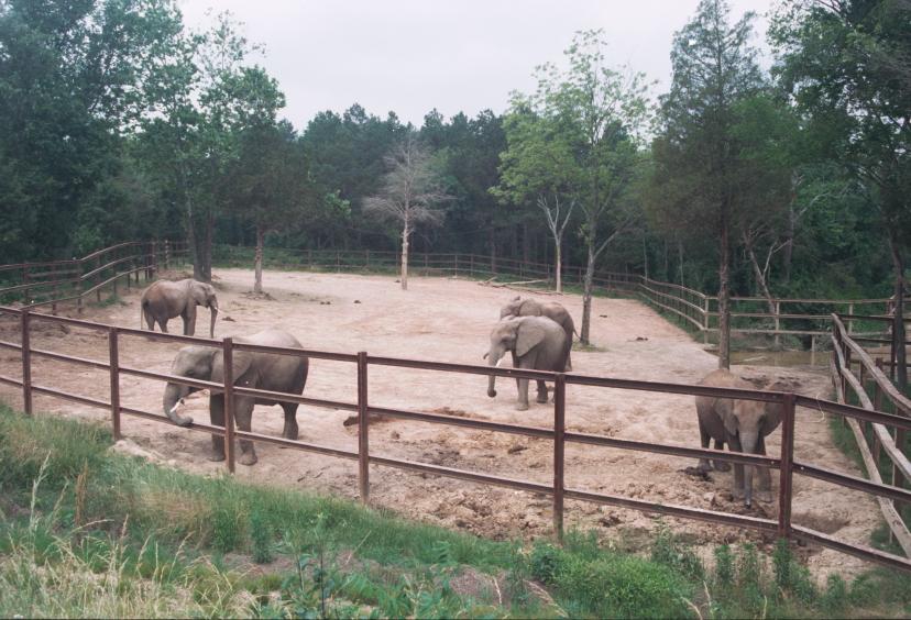 click for larger size