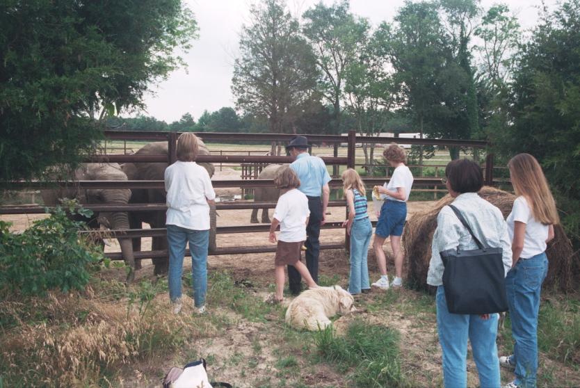 click for larger size