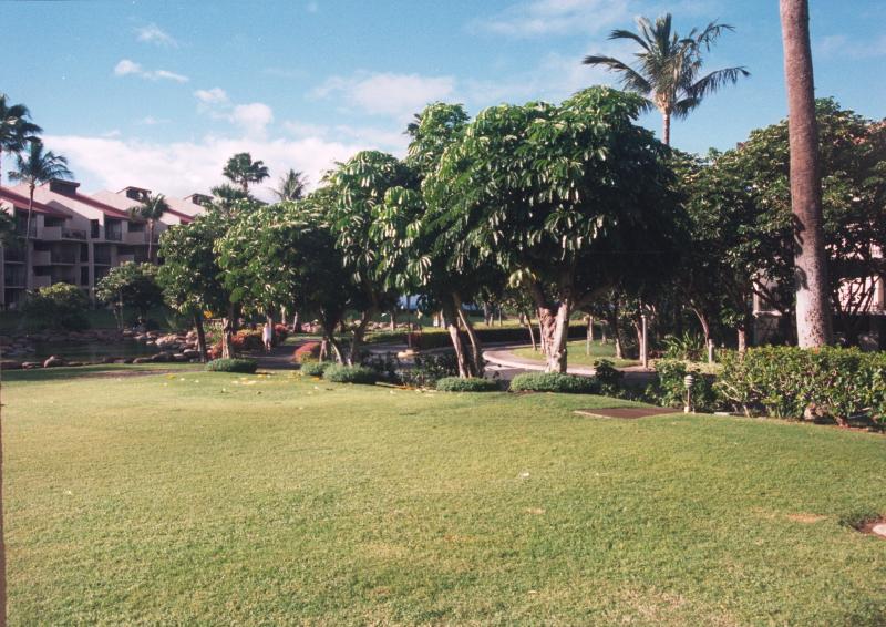 click for larger size