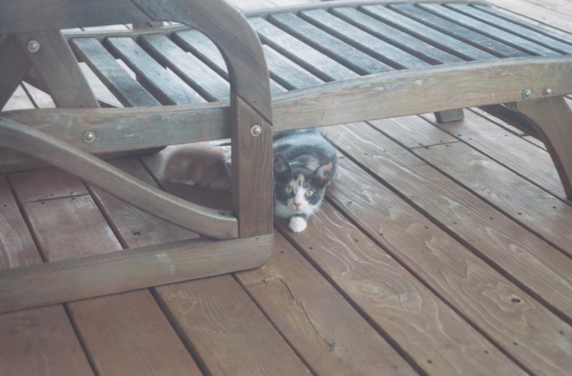 click for larger size