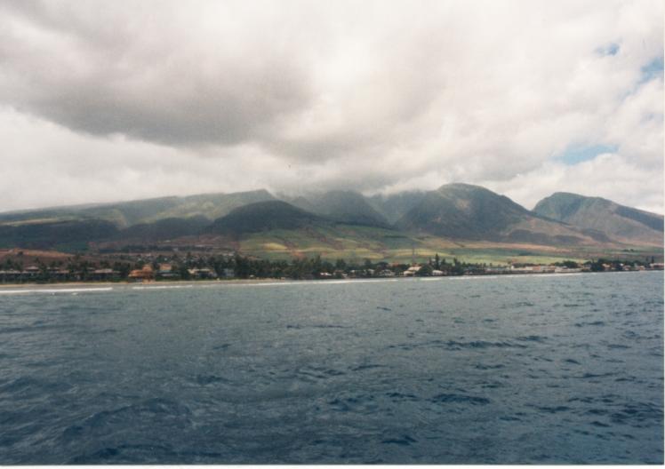 click for larger size