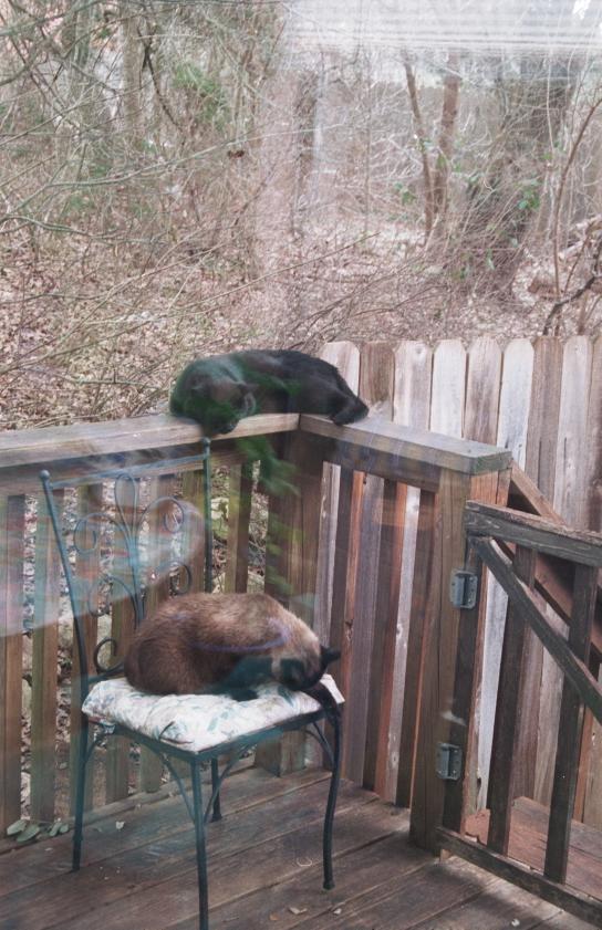 click for larger size