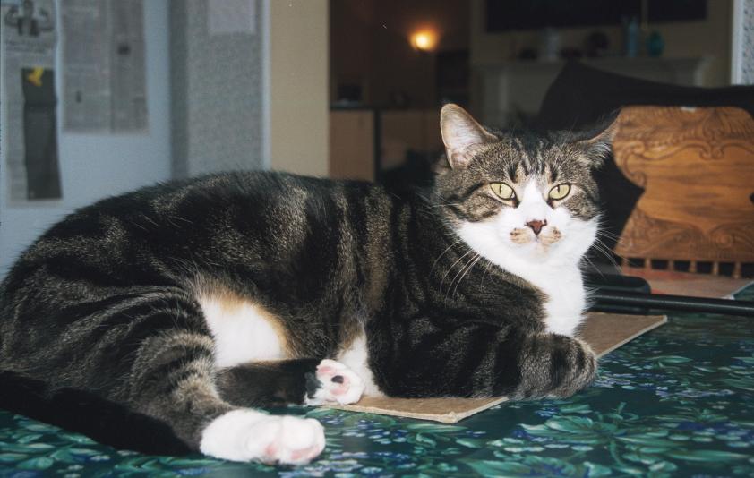 click for larger size